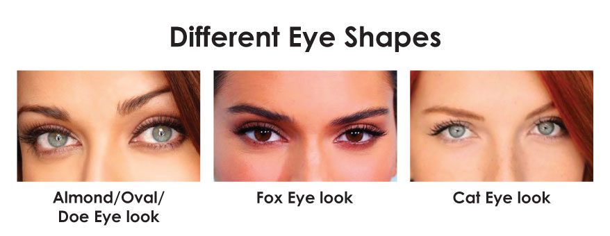 Different eye shape trends fox eye almond eye botox and fillers