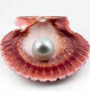 Pearl Perfection