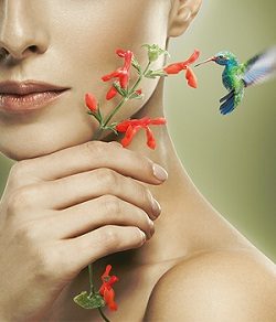 Launch: Profhilo® Bio-Remodelling