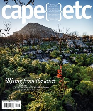 Cape Etc - Well-being